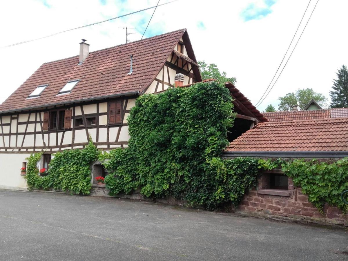 Gite Au Petit Ruisseau-Etage Et Combles-Maison Alsacienne 4 Personnes 4 Nuitees Minimum Langensoultzbach Екстериор снимка