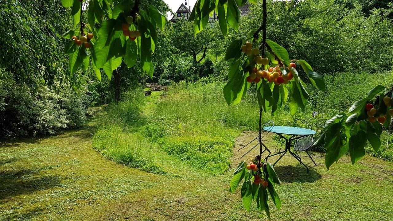 Gite Au Petit Ruisseau-Etage Et Combles-Maison Alsacienne 4 Personnes 4 Nuitees Minimum Langensoultzbach Екстериор снимка