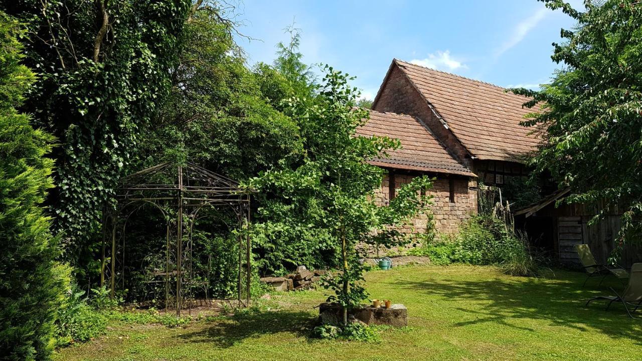 Gite Au Petit Ruisseau-Etage Et Combles-Maison Alsacienne 4 Personnes 4 Nuitees Minimum Langensoultzbach Екстериор снимка