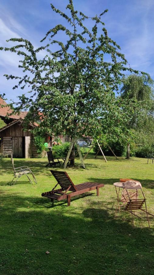 Gite Au Petit Ruisseau-Etage Et Combles-Maison Alsacienne 4 Personnes 4 Nuitees Minimum Langensoultzbach Екстериор снимка