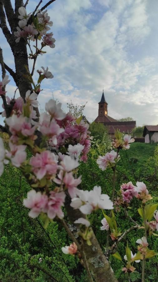 Gite Au Petit Ruisseau-Etage Et Combles-Maison Alsacienne 4 Personnes 4 Nuitees Minimum Langensoultzbach Екстериор снимка