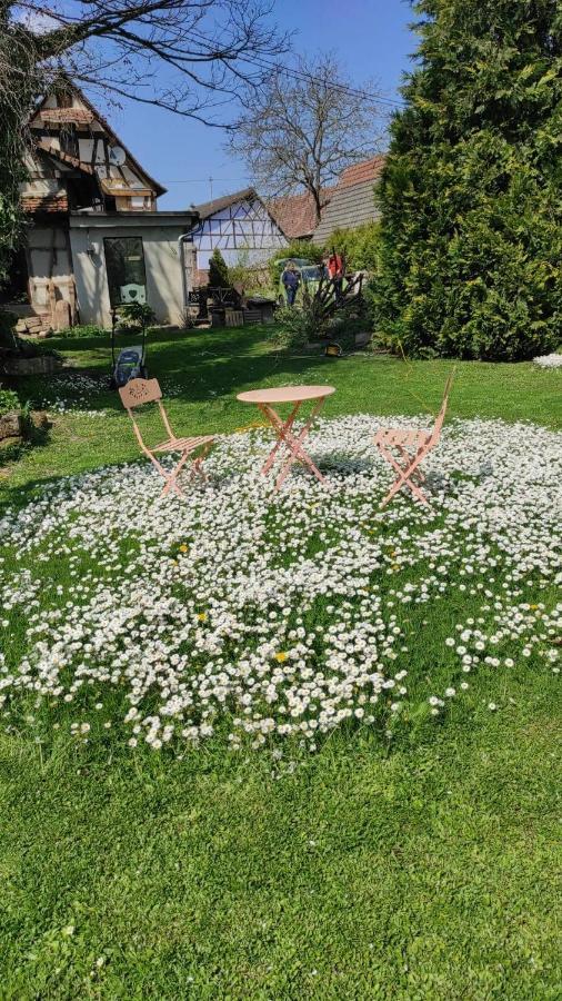 Gite Au Petit Ruisseau-Etage Et Combles-Maison Alsacienne 4 Personnes 4 Nuitees Minimum Langensoultzbach Екстериор снимка