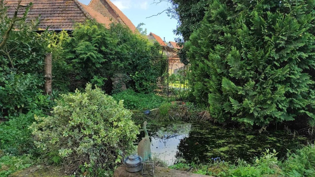 Gite Au Petit Ruisseau-Etage Et Combles-Maison Alsacienne 4 Personnes 4 Nuitees Minimum Langensoultzbach Екстериор снимка