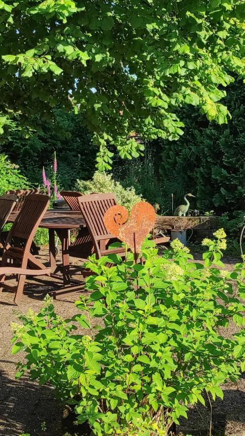 Gite Au Petit Ruisseau-Etage Et Combles-Maison Alsacienne 4 Personnes 4 Nuitees Minimum Langensoultzbach Екстериор снимка