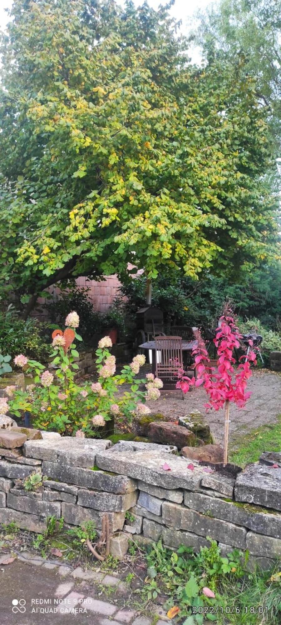 Gite Au Petit Ruisseau-Etage Et Combles-Maison Alsacienne 4 Personnes 4 Nuitees Minimum Langensoultzbach Екстериор снимка